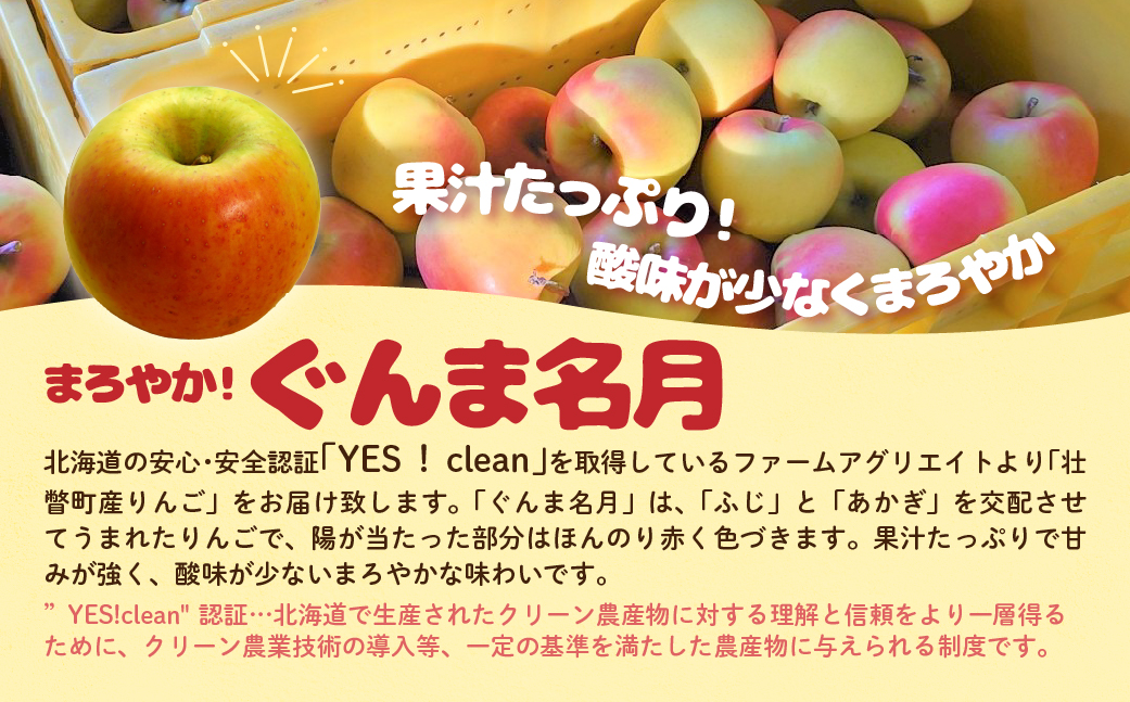 【先行予約】 ぐんま名月 約5kg <2026年11月中旬頃～発送予定> SBTB014