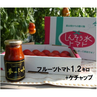 【ふるさと納税】フルーツトマト(深層水トマト)1.2キロとトマトケチャップ(300ml×1本)【濃厚な甘みと旨味】【配送不可地域：離島】【1287336】