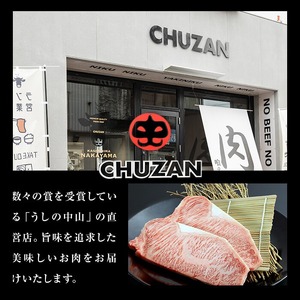 ＜A4・A5等級＞鹿児島県産黒毛和牛 うしの中山 赤身焼肉用 計1kg(500g×2P) 黒毛和牛 和牛 肉 牛肉 国産 九州産 鹿児島県産 焼肉 赤身 日本一 c8-034