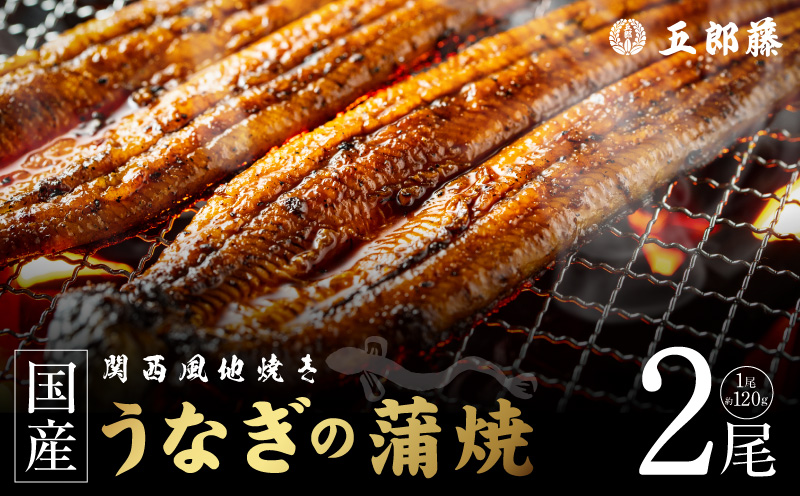 老舗「五郎藤」関西風地焼き 国産有頭旨鰻 120g×2尾 計約240g前後 うなぎ ウナギ 蒲焼き 炭火【大阪 泉佐野 大阪府 泉佐野市】