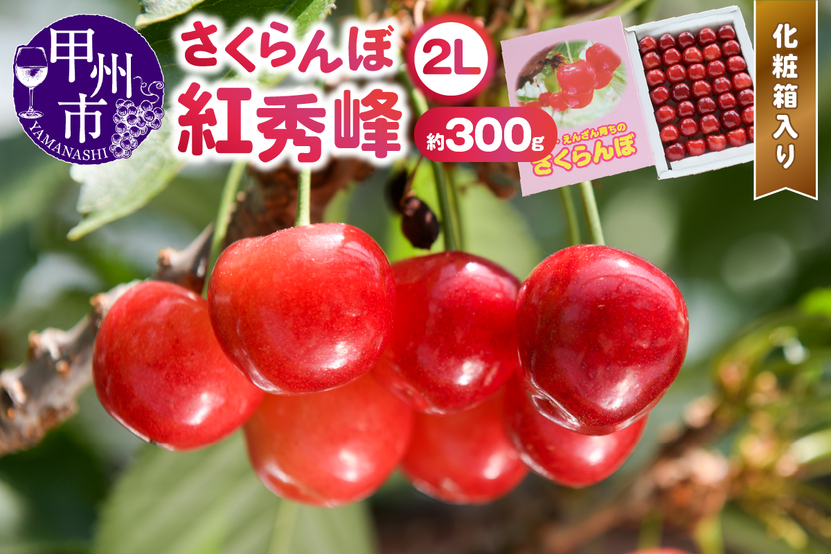 甲州市産大粒さくらんぼ童夢の「紅秀峰」化粧箱（約300g 2Lサイズ）【2025年発送】（DOM）B12-141