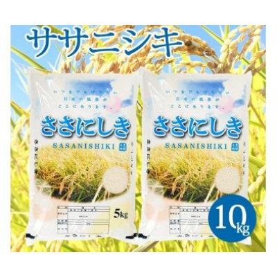 ふるさと納税 酒田市 【令和7年産米】【山形県庄内産】ササニシキ5kg×2袋計10kg