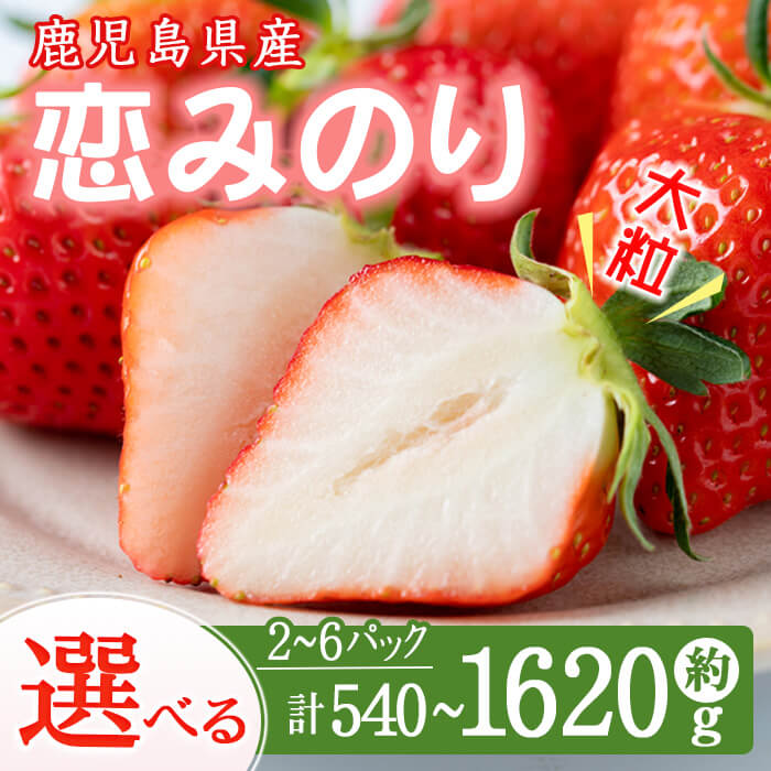 【ふるさと納税】【期間限定】【数量限定】鹿児島県産朝採れイチゴ 「恋みのり」計約540g～1620g（約270g×2～6パック)いちご イチゴ 苺 果物 フルーツ スイーツ デザート お菓子 人気 甘い 大粒 ジャム スムージー 【本田農園】