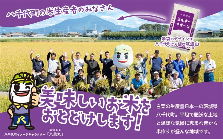 【スピード発送】ミルキークイーン 20kg 令和7年産 茨城県産 白米 精米 茨城県 お米 米 [SF399yai] 【スピード発送】ミルキークイーン 20kg(5kg×4袋)