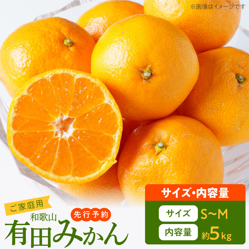 【2026年先行予約】ご家庭用　有田みかん 約5kg (S、Mサイズ)【湯浅町】_AT6321