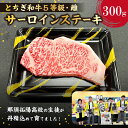 【ふるさと納税】 とちぎ和牛サーロインステーキ300g 栃木県 那須塩原市 肉 和牛 黒毛和牛 サーロイン お肉 ブランド 霜降り肉 ブランド牛 肉質 5等級 銘柄牛 柔らかい 風味 冷凍 グルメ 送料無料