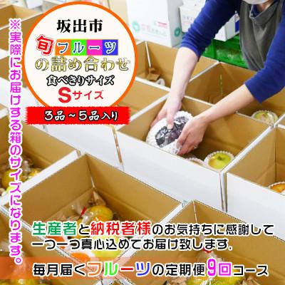 ふるさと納税 坂出市 【毎月定期便】産直あきんどのフルーツセットSサイズ 詰め合わせ ( 約3 〜 5品 )全9回 |  | 02
