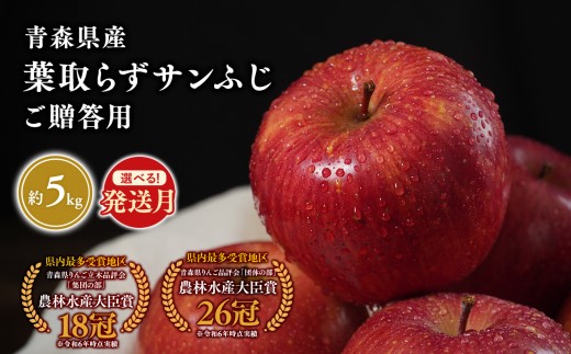 
                  2026年産 ≪選べる発送月≫１１月～４月発送　贈答用葉とらずサンふじ5kg【青森県 平川市 そと川りんご園】１１月～４月発送 贈答 青森 青森県産 平川 葉とらず サンふじ ふじ りんご リンゴ 林檎 くだもの 果物 フルーツ 
                