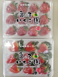 【期間限定発送】 果物 完熟いちご 食べ比べセット 350g～400g×2 [亀の子いちご園 宮崎県 日向市 452060852]