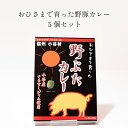 【ふるさと納税】おひさまで育った野豚カレー5個セット｜国産 信州産 お肉 ブランド豚 小谷野豚 おたり野豚 放牧豚　カレー ふるさと納税