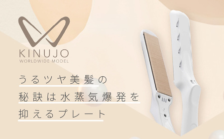 ～KINUJO～ ヘアアイロン ワールドワイドモデル DS100-BK（ブラック） 絹女