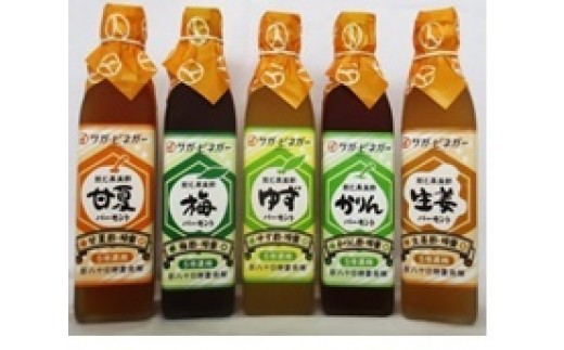 
サガ・ビネガーの飲む果実酢 濃厚フルーツ 5本セット
