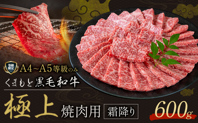 黒毛和牛 くまもと黒毛和牛 A4-A5等級 霜降り 焼肉用 600g 牛肉《3-7日以内に出荷予定(土日祝除く)》焼肉 焼き肉