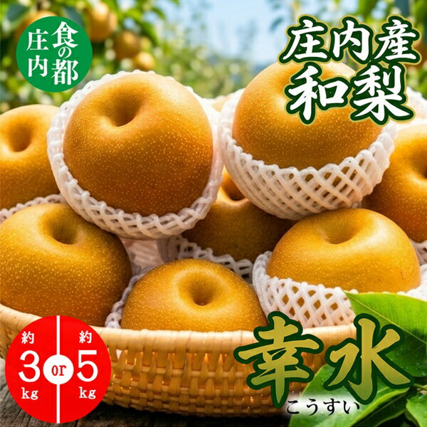 【ふるさと納税】選べる内容量（3kg・5kg）食の都庄内　【令和8年産】庄内産和梨【幸水】　※令和8年8月末頃～9月中旬配送（株式会社　三枡屋）