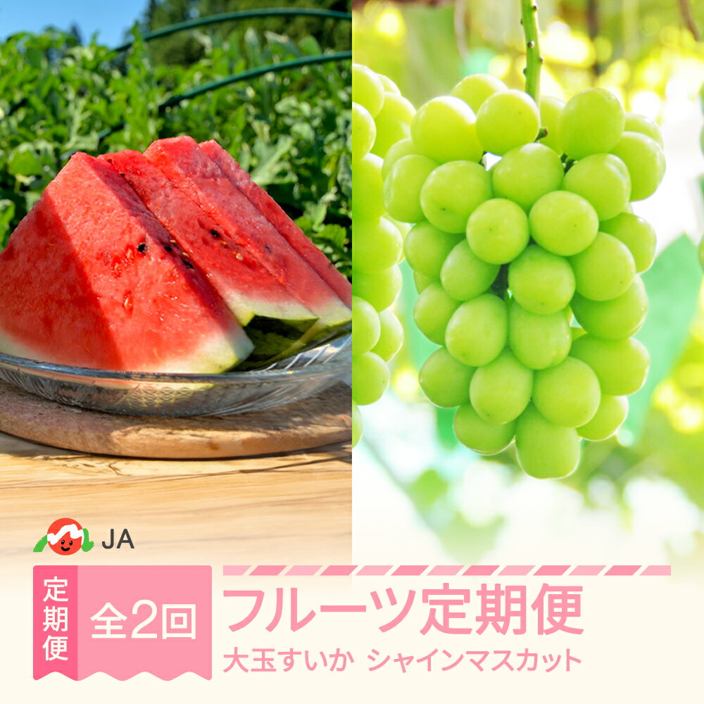 【ふるさと納税】【先行予約】フルーツ定期便 全2回 大玉すいか シャインマスカット 2026年産 令和8年産 ※沖縄・離島への配送不可 ja-ft2ss-b