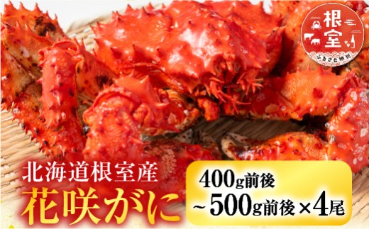 B-36015 【北海道根室産】花咲かに400g前後～500g前後×4尾