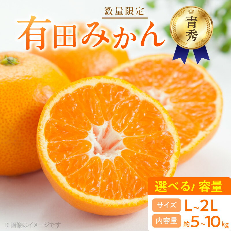 【ふるさと納税】【2025年先行予約】 数量限定 青秀品 有田みかん L ～ 2Lサイズ 選べる容量 約5kg ～ 約10kg 和歌山県 有田産 青秀 追熟 有田 みかん 温州みかん 柑橘 果物 果実 果肉 フルーツ ビタミン 食品 国産 贈答用 ギフト用 期間限定 お取り寄せ 湯浅町 送料無料