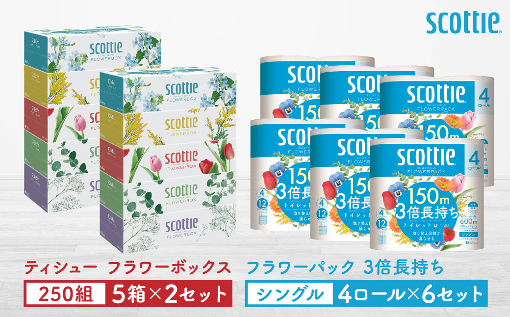 
            【スコッティ】ティシュー フラワーボックス 250組（5箱パック×2セット）＋フラワーパック 3倍長持ち（4ロール(シングル)パック×6セット）ティッシュ トイレットペーパー 日用品
          
