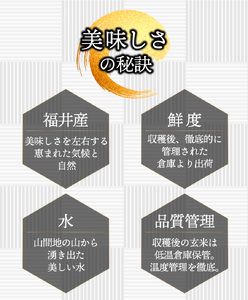 【定期便3回】福井県産 コシヒカリ 精米 3kg（1kg×3）＜令和7年産 新米 / 数量限定 ＞【米 コメ お米 精米 白米 無洗米 玄米 ご飯 飯 こしひかり ブランド米 国産】[095-t3-a