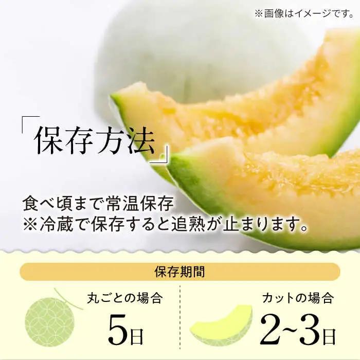 【2027年4月下旬-発送】【根強い人気!】 訳あり プリンスメロン 3箱セット（1箱 7?13玉）傷もの / メロン めろん フルーツ 果物 / 南島原市 / 南島原果物屋[SCV023]