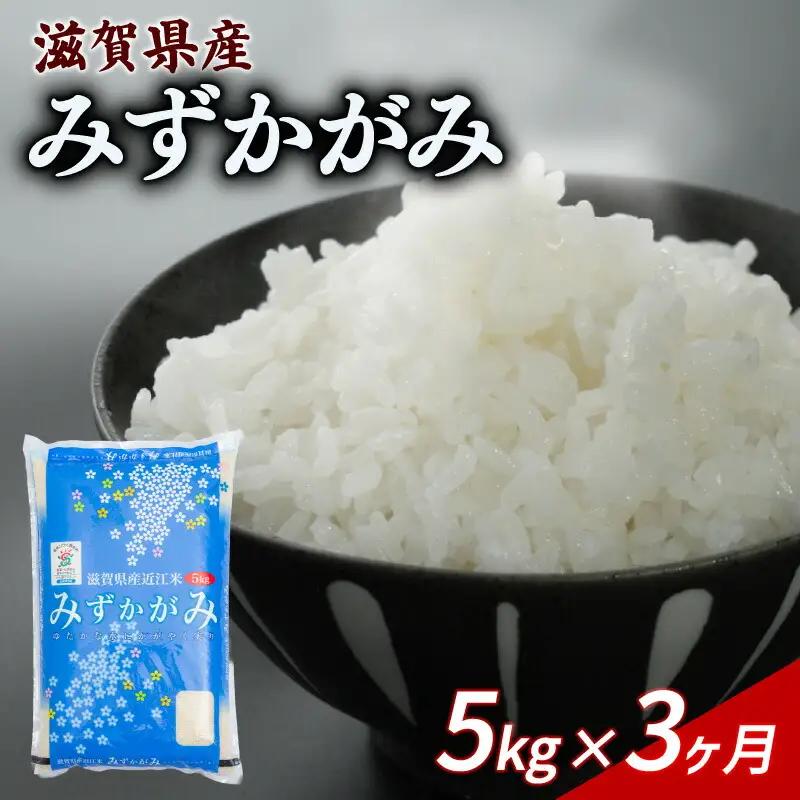 【3ヶ月定期便】みずかがみ 5kg 令和7年産 ミズカガミ 定期便 お米 米