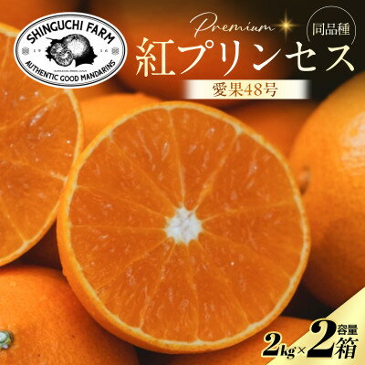 【ふるさと納税】【紅プリンセスと同品種】「甘平×まどんな」愛果48号【2kg×2箱】【家庭用】【F70-111】【1683889】