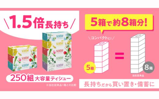 スコッティ ティシュー フラワーボックス 250組 60箱（5箱×12パック）【入金確認後、最短10日～3週間程度に発送予定】