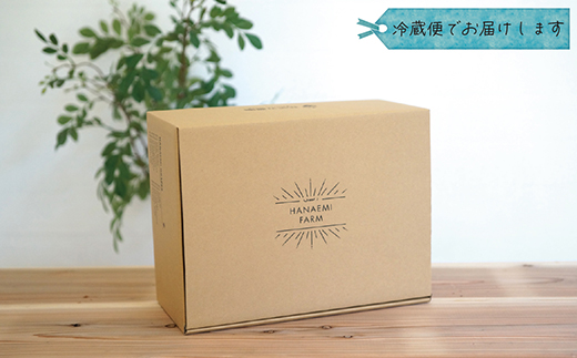 【2026年先行受付】岡山　花笑み農園の『シャインマスカット』家庭用　約2kg(3～5房)S-2家【配送不可地域：離島】