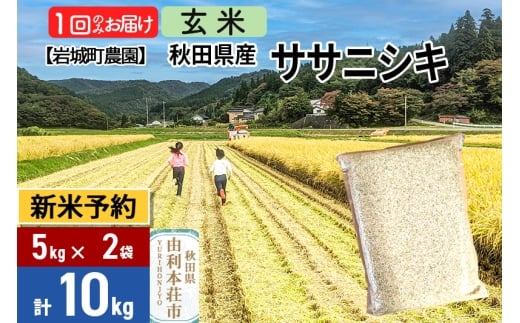《令和7年産 新米予約》【玄米】ササニシキ 10kg(5kg×2袋) 秋田県 由利本荘市産 令和7年産 真空パック 岩城町農園