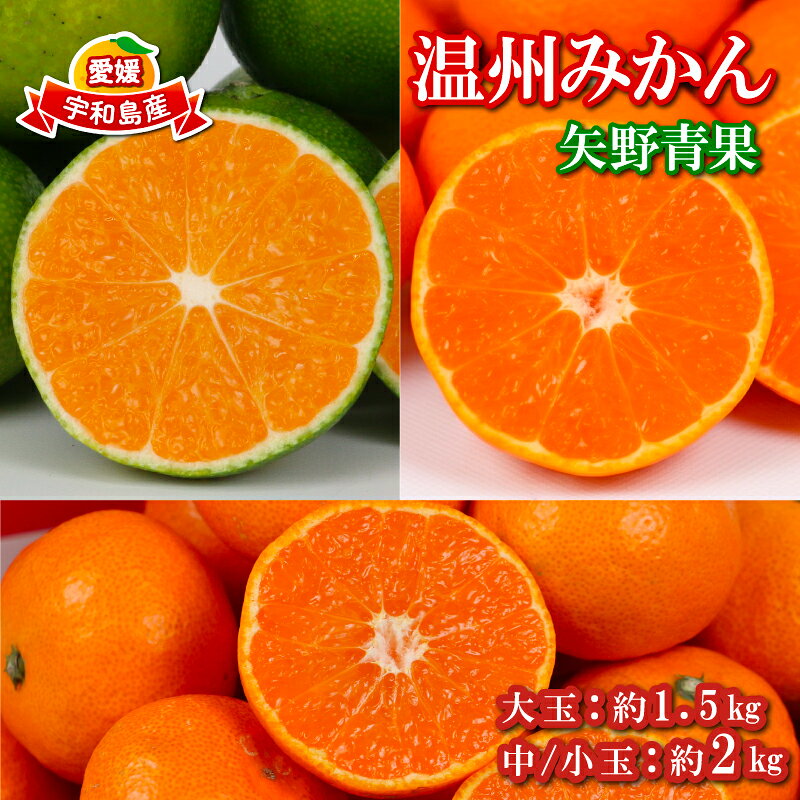 【ふるさと納税】 温州みかん 約1.5kg ～ 約2kg 矢野青果 極早生 早生 南柑20号 フルーツ 柑橘 蜜柑 mikan 温州 うんしゅう わせ 早生みかん 極早生みかん 果物 くだもの みかん 濃厚みかん 温州蜜柑 産地直送 数量限定 国産 愛媛 宇和島