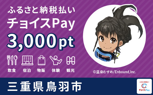 
鳥羽市チョイスPay 3,000pt（1pt＝1円）【会員限定のお礼の品】
