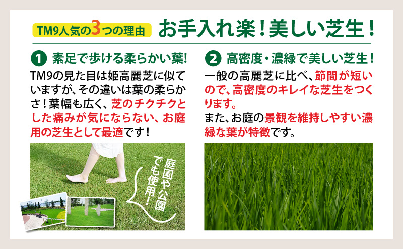 TM9（ティーエムナイン）省管理型コウライシバ トヨタ自動車(株)開発品種 10平米　KN080-007-03