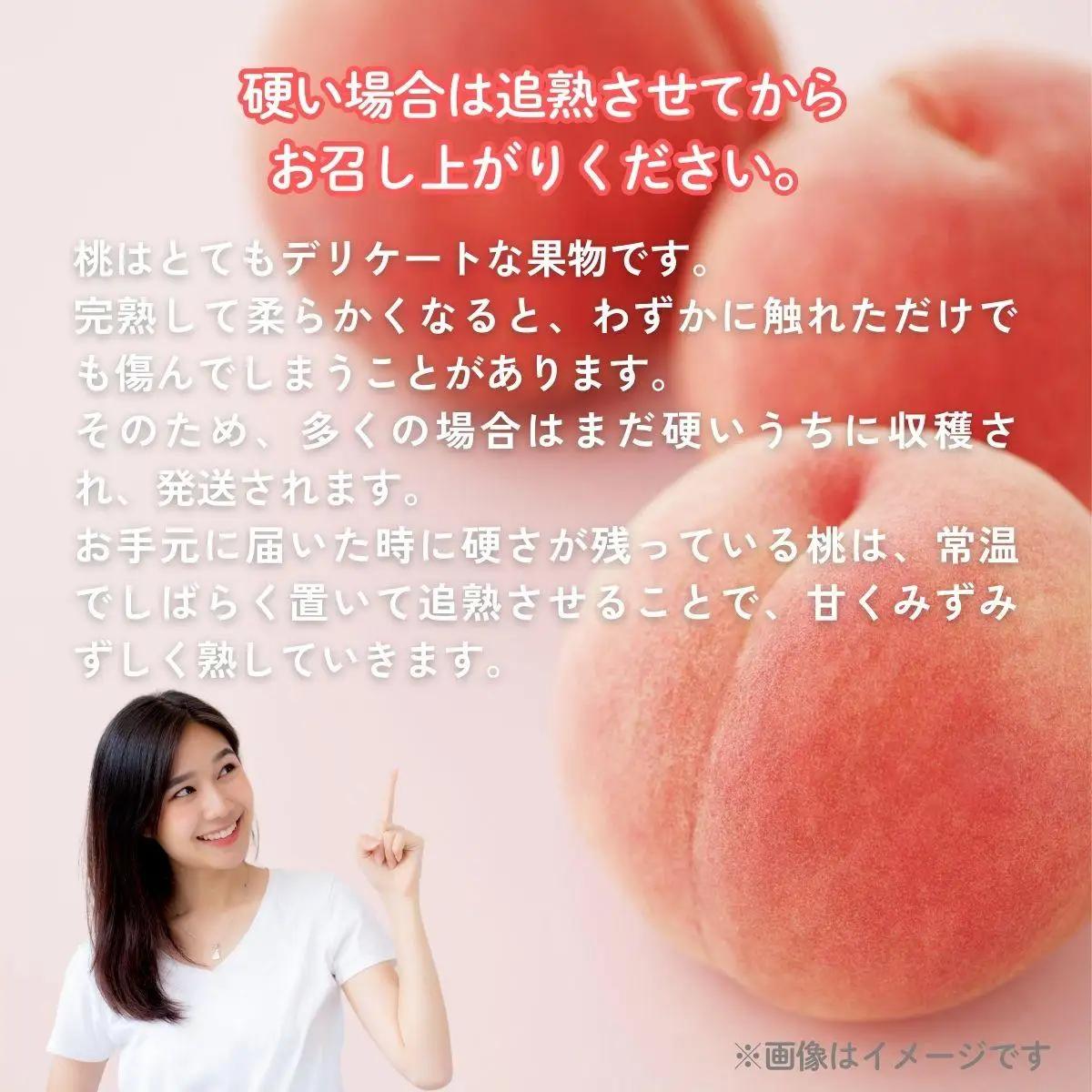 【2026年先行予約】白桃 1箱（約2kg 6玉）桃 もも モモ はくとう フルーツ 【026-a019】