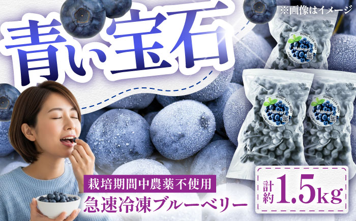 青い宝石 国産 急速冷凍ブルーベリー 計約1.5kg（約500g×3袋） 果物 くだもの フルーツ ぶるーべりー 熊本県 菊陽町【アグファーム株式会社】 [BHCX006]