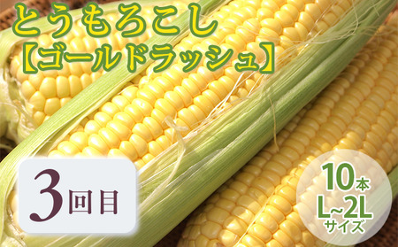 【年4回定期便】【2024年7～10月お届け】富良野直送！ 旬のメロン＆野菜 厳選４農家 スペシャルコラボ 計４種 大満足定期便 (メロン ミニトマト とうもろこし たまねぎ 北海道 富良野市 果物 