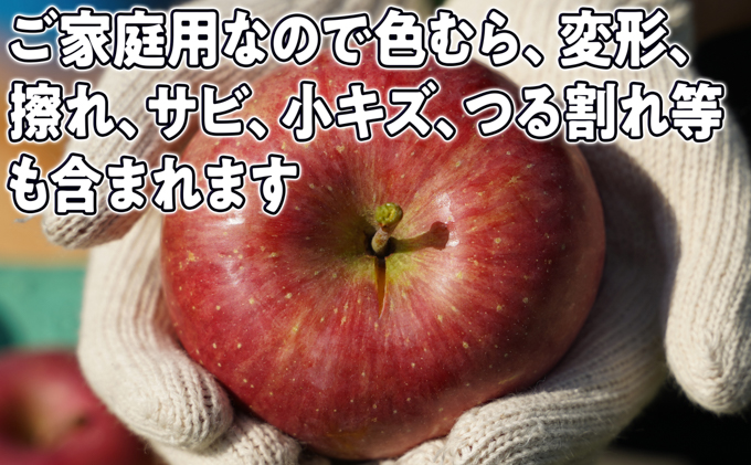 1月～3月発送 家庭用 旬のリンゴ詰め合わせ 約10kg 糖度13度以上【弘前市産・青森りんご】