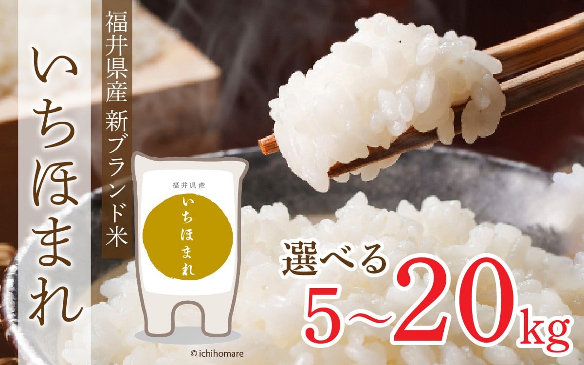 
            【 令和7年産 新米 】【選べる内容量】いちほまれ 5～20kg 福井県産新ブランド米 特A 5キロ 5kg 10Kg 15kg 20kg　令和7年 令和七年 7年度産 7年度 令和7年度 白米 精米 ブランド 単一米
          