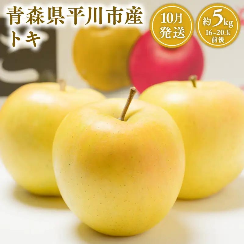 りんご トキ 約5kg 【hi-0001-006】