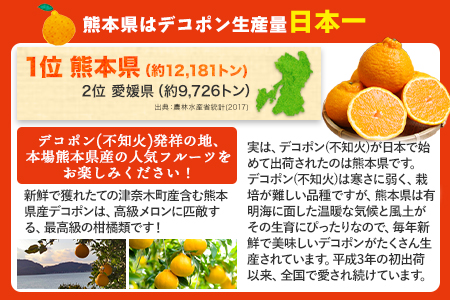 デコポンゼリー 12個入《60日以内に順次出荷(土日祝除く)》熊本県 葦北郡 津奈木町 あしきた農業協同組合 JAあしきた 柑橘 デコポン フルーツ 果物 ゼリー ギフト 包装 送料無料