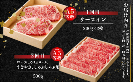 《定期便5回》飛騨牛食べつくし厳選セレクト 5か月 焼肉 サーロイン肩ロース ロース モモ すき焼き しゃぶしゃぶ 食べ比べ 牛肉 国産 焼き肉 赤身 A4 A5 等級 だるまミート 岐阜県 白川村 