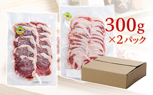 佐賀県多久産 冷凍 いのしし肉 スライス 300g×2パック _c-109