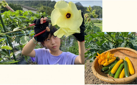 V18-1 はたけの大吉 ピザ作り+アグリ体験チケット 1名様