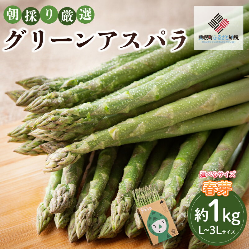 【ふるさと納税】 2026年産グリーンアスパラ (春芽) 選べる L~3L 1kg ランキング アスパラ アスパラガス グリーンアスパラ 朝どれ 新鮮 野菜 サラダ BBQ 北海道アスパラガス 北海道 美幌町 ふるさと納税 人気 おすすめ【配送不可地域：離島】