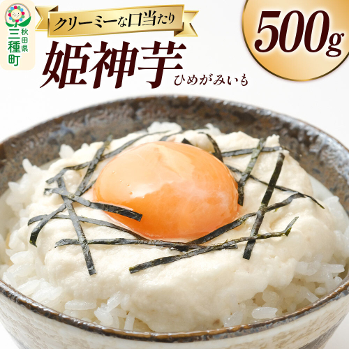姫神芋 500g 秋田県山本郡三種町産 長芋 [長芋 粘り とろろ 国産 濃厚]