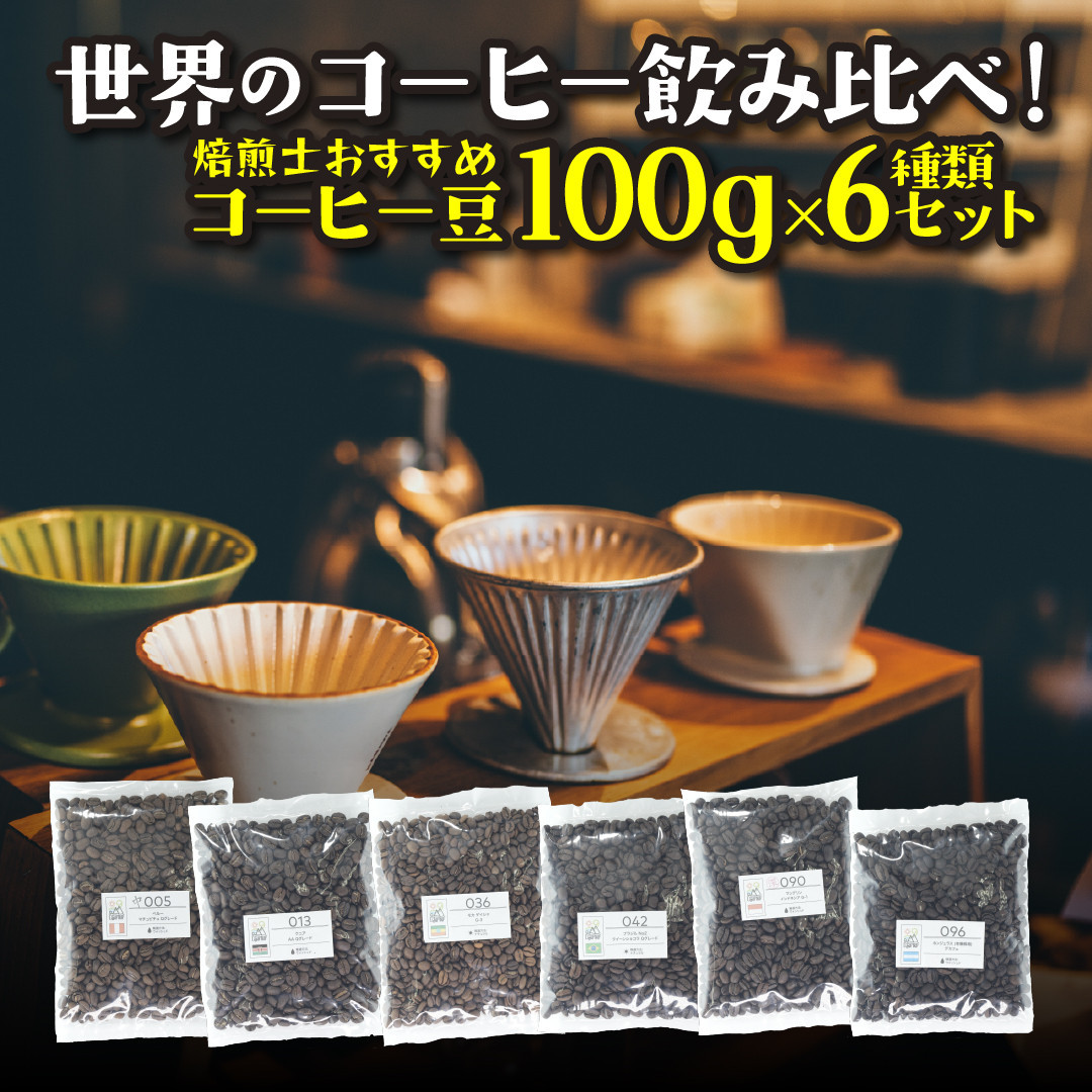 [豆]コーヒー豆 100g×6種類セット 合計600g 注文後焙煎  272183_BG426
