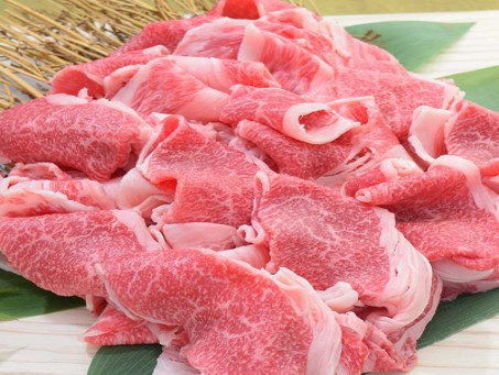 
佐賀牛切り落とし（500g×2）
