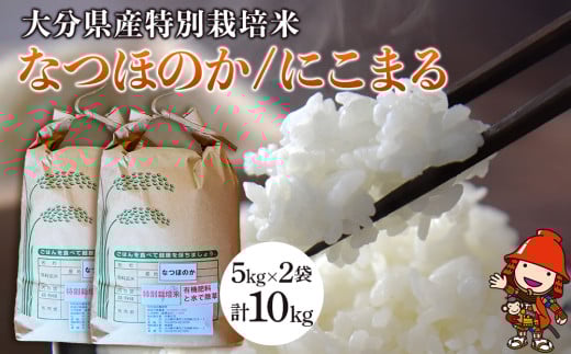 令和7年産 特別栽培米 なつほのか にこまる 5kg×2袋 計10kg | 大分県中津市三光産 栽培期間中 農薬不使用 精米 玄米 選べる 国産 お米 米 ご飯 白米 農家直送 宗像農園 大分県産 九州産 大分県 中津市