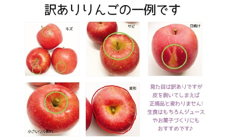 【2026年9月発送】 【訳あり】りんご サンつがる 約5kg 青森産 【クール便】