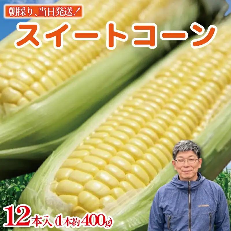 とうもろこし スイートコーン おおもの 12本 約5kg 【 とうもろこし 】 
