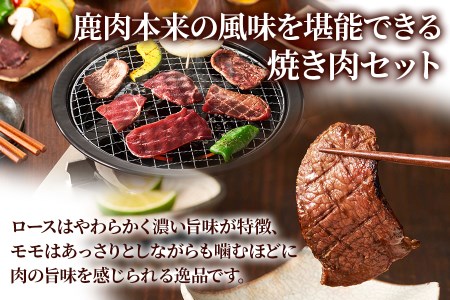 ジビエ 鹿肉 ロース＆モモ 計1.2㎏ 焼肉 ジビエ